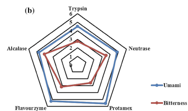 Umami and bitterness profile of enzymatic protein hydrolysates from cultured Takifugu obscurus by-products.png