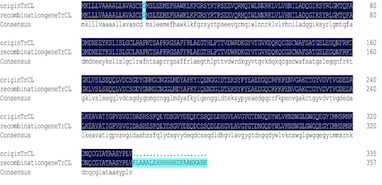 Cloning, purification and biochemical characterization of recombinant Cathepsin L from Takifugu rubripes and its role in taste formation.png