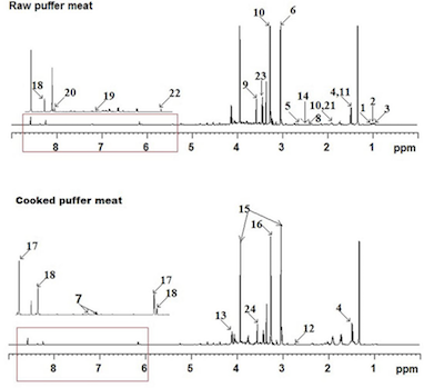 Comparing the metabolic profiles of raw and cooked pufferfish (Takifugu flavidus) meat by NMR assessment.png